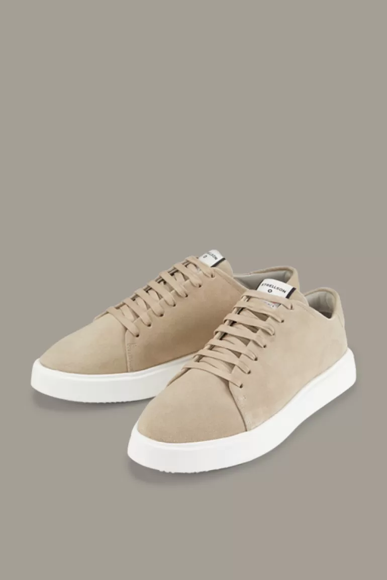 Strellson Sneaker Epsom Evans, ^ Schuhe | Schuhe